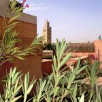 Riad hasna espi marrakechvue-de-la-terrasse (1)